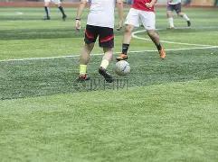 欧篮联摩纳,哥强势挑战,贝红星,九游,JiuYou,九游注册网址,九游app,九游官网,九游网站,九游下载